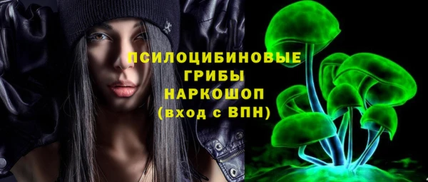 spice Беломорск