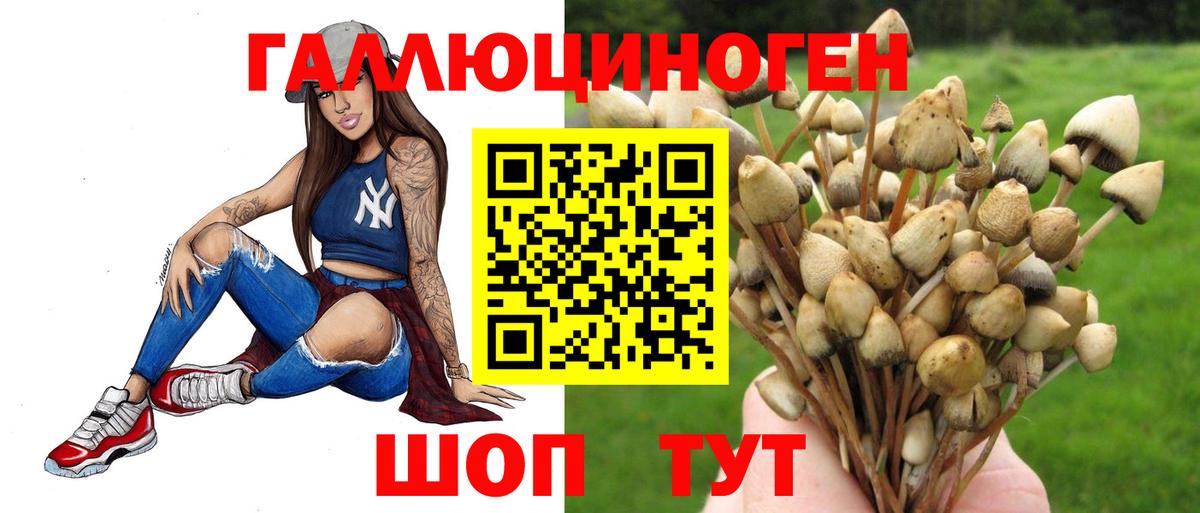 Печора  Псилоцибиновые грибы ЛСД  Псилоцибиновые грибы MAGIC MUSHROOMS  Вход с VPN 